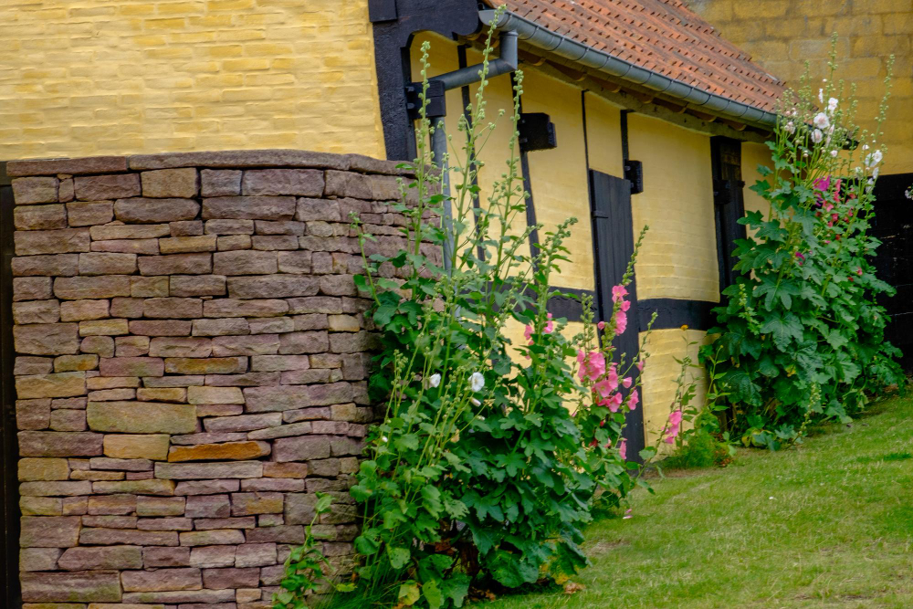 idées et conseils pour planter le long d'un mur de maison