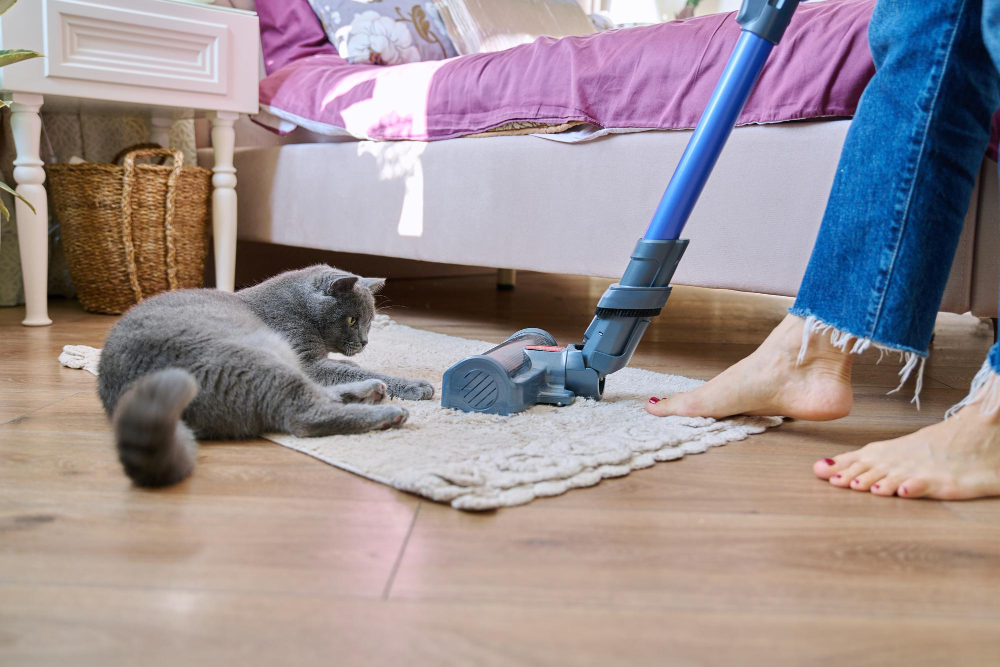neutraliser l'odeur d'urine de chat à l'intérieur